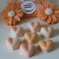 Bon Bon waxmelts