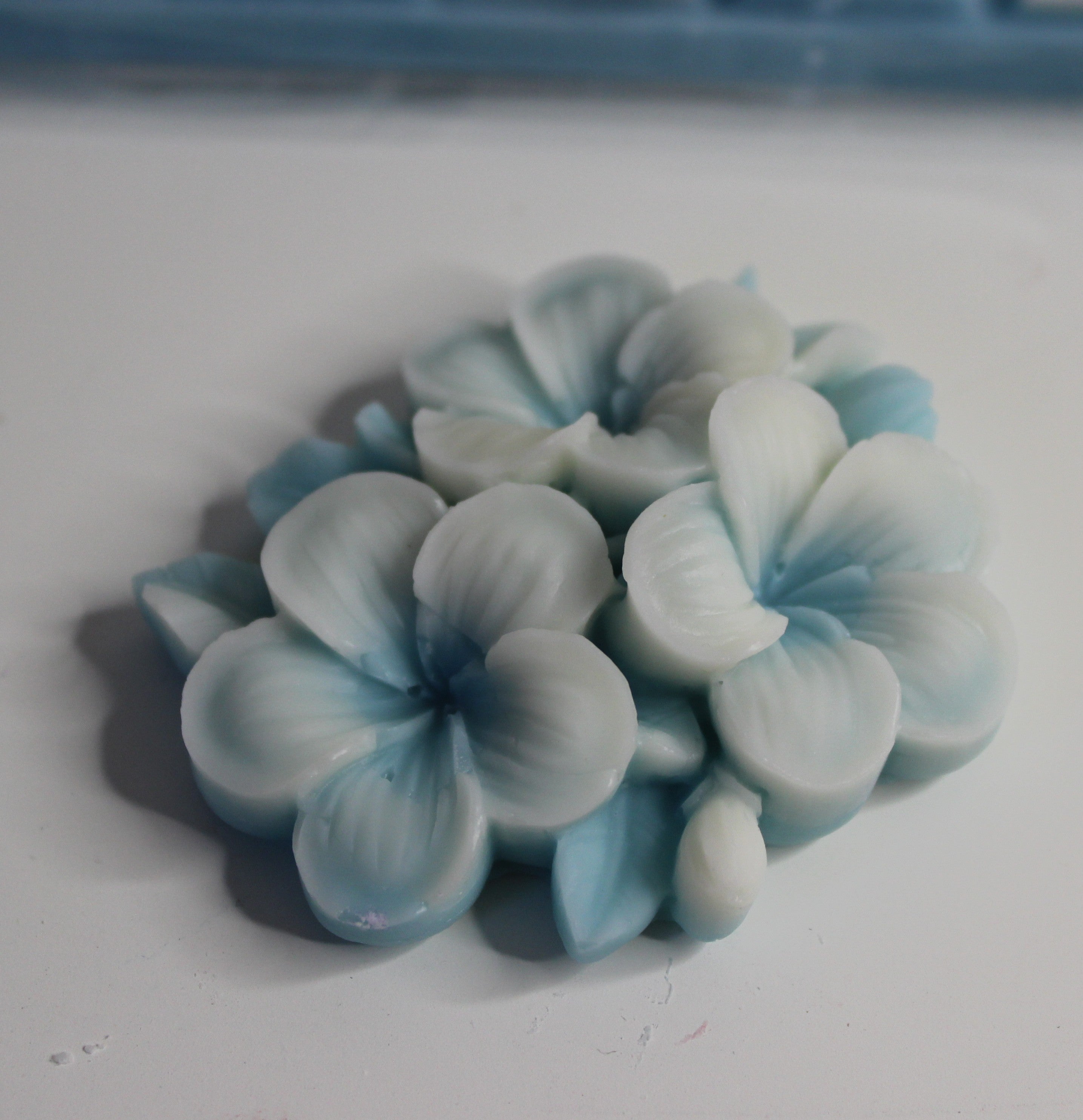 Fresh Unstoppable bloem 2